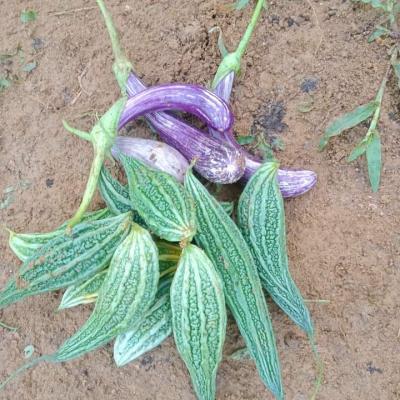 Whatsapp Image 2023 12 18 At 11.06.48