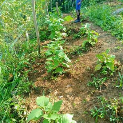 Whatsapp Image 2023 12 18 At 11.07.00