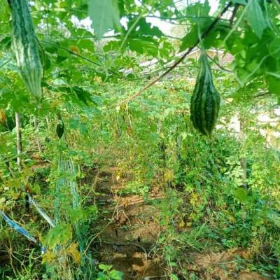 Whatsapp Image 2023 12 18 At 11.07.02